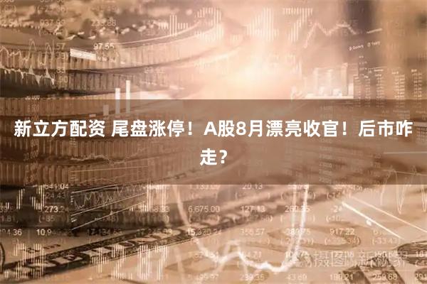 新立方配資 尾盤漲停！A股8月漂亮收官！后市咋走？